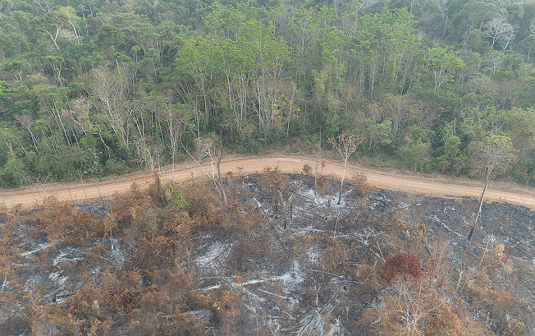 Desmatamento Rondônia