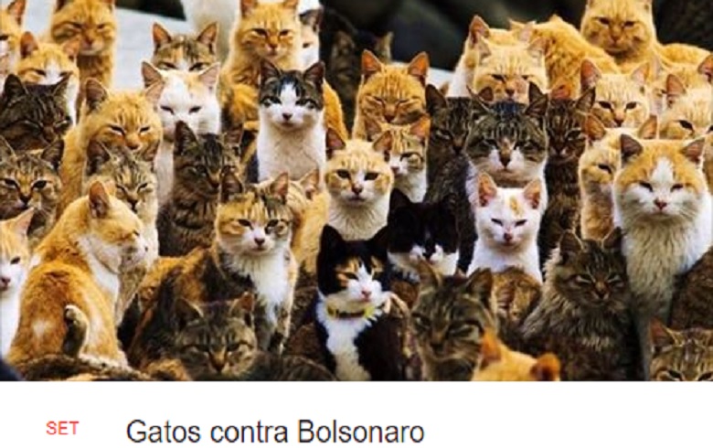 gatos contra bolsonaro.jpg