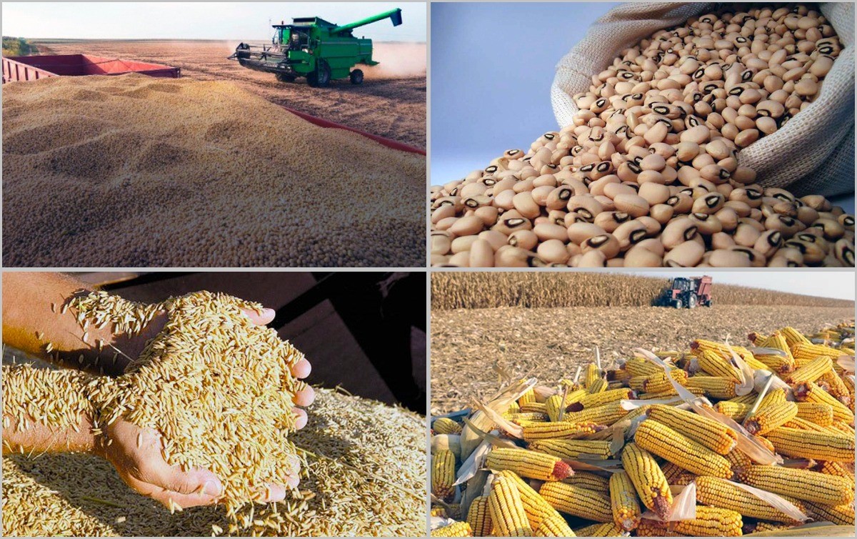 Produção para exportação: soja e milho representam 88% da safra brasileira - Rede Brasil Atual