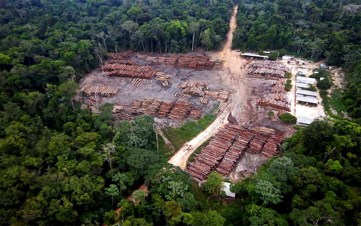Bolsonaro garante que a Amazónia está protegida e diz a Biden que sente a  soberania do Brasil ameaçada