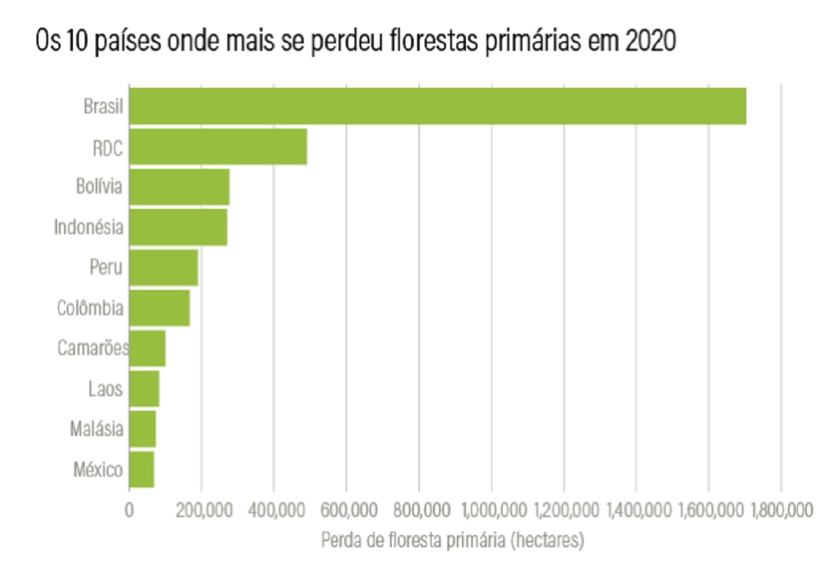 Brasil segue firme na liderança mundial da destruição de florestas